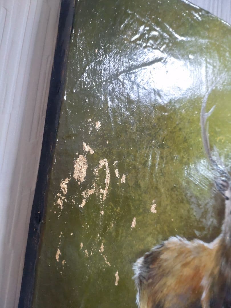 エゾシカの油絵【タイトル:僥倖】1点物の原画◆作者サイン入り◆F3号キャンバス