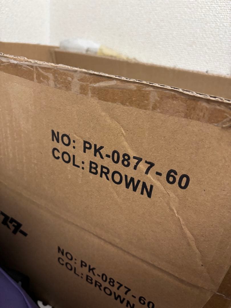 ポケットモンスター　イーブイ　キャリーケース　M ブラウン