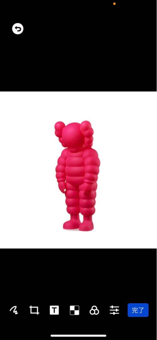 その他 KAWS WHAT PARTY PINK