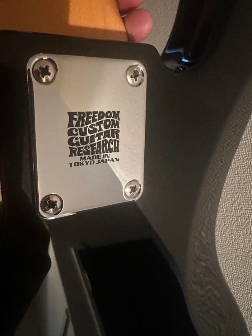 Fender Deluxe Jazz Bass V 新井和輝モデル Mod