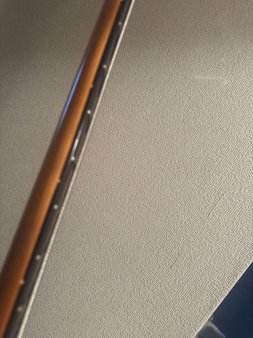 Fender Deluxe Jazz Bass V 新井和輝モデル Mod