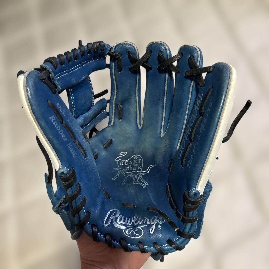 Rawlings 軟式用グローブ Dual Palm 青白