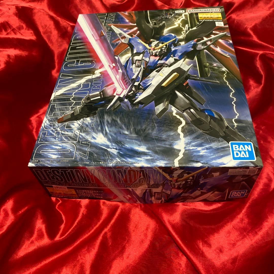 MG デスティニー　ガンダム ガンプラ　新品　未開封　プラモデル　1/100