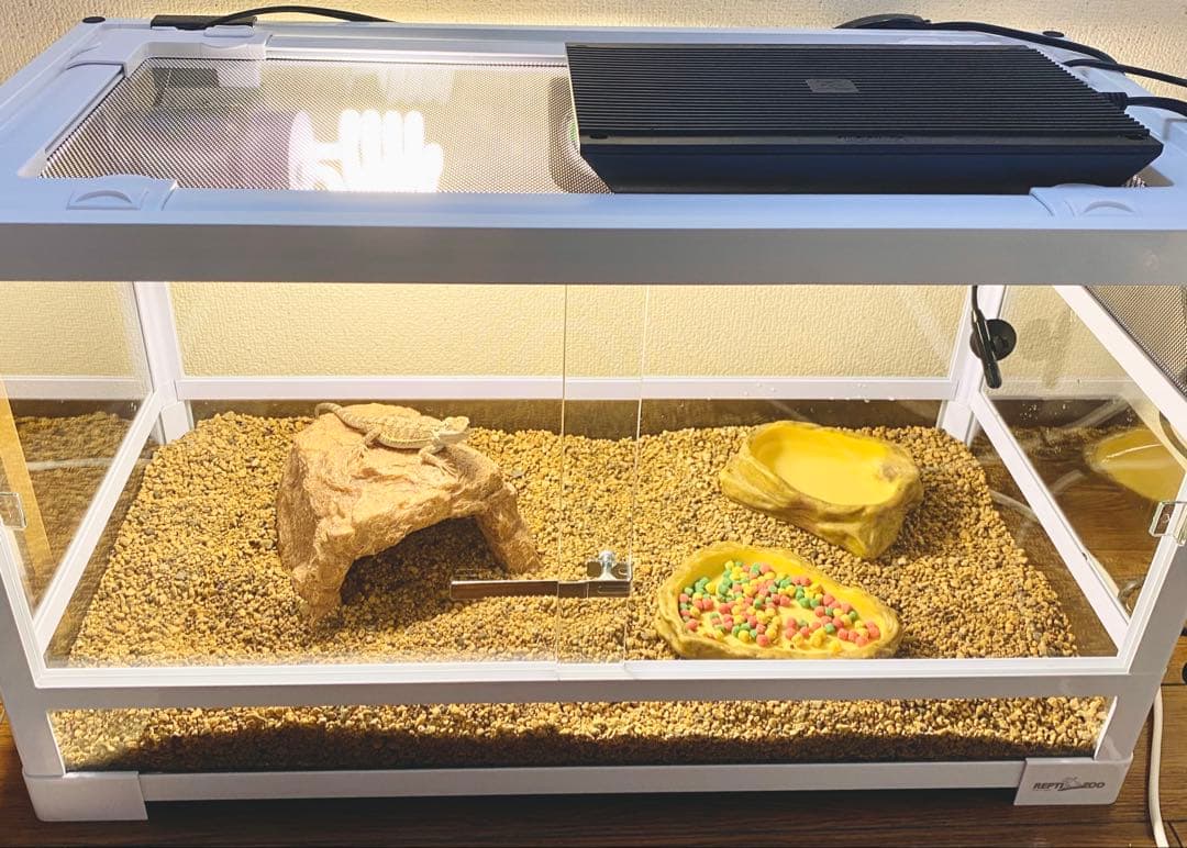 爬虫類ケージ　三晃商会　パンテオン　ホワイト　ＷＨ６０３５