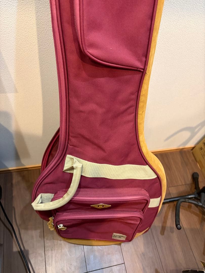 CoolZ レスポールカスタム FUJIGEN