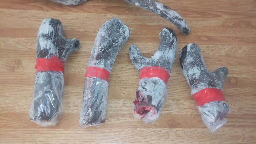 蝦夷鹿　鹿茸の袋角　約2400g 柔らかい先