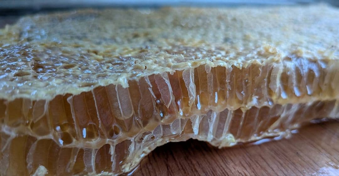 ニホンミツバチの蜂蜜 wp.jumbo.100kg