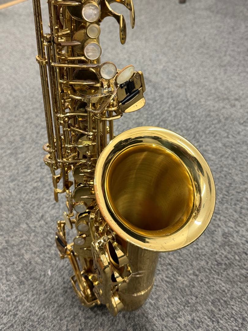 Yanagisawa ヤナギサワ A-WO10 アルトサックス