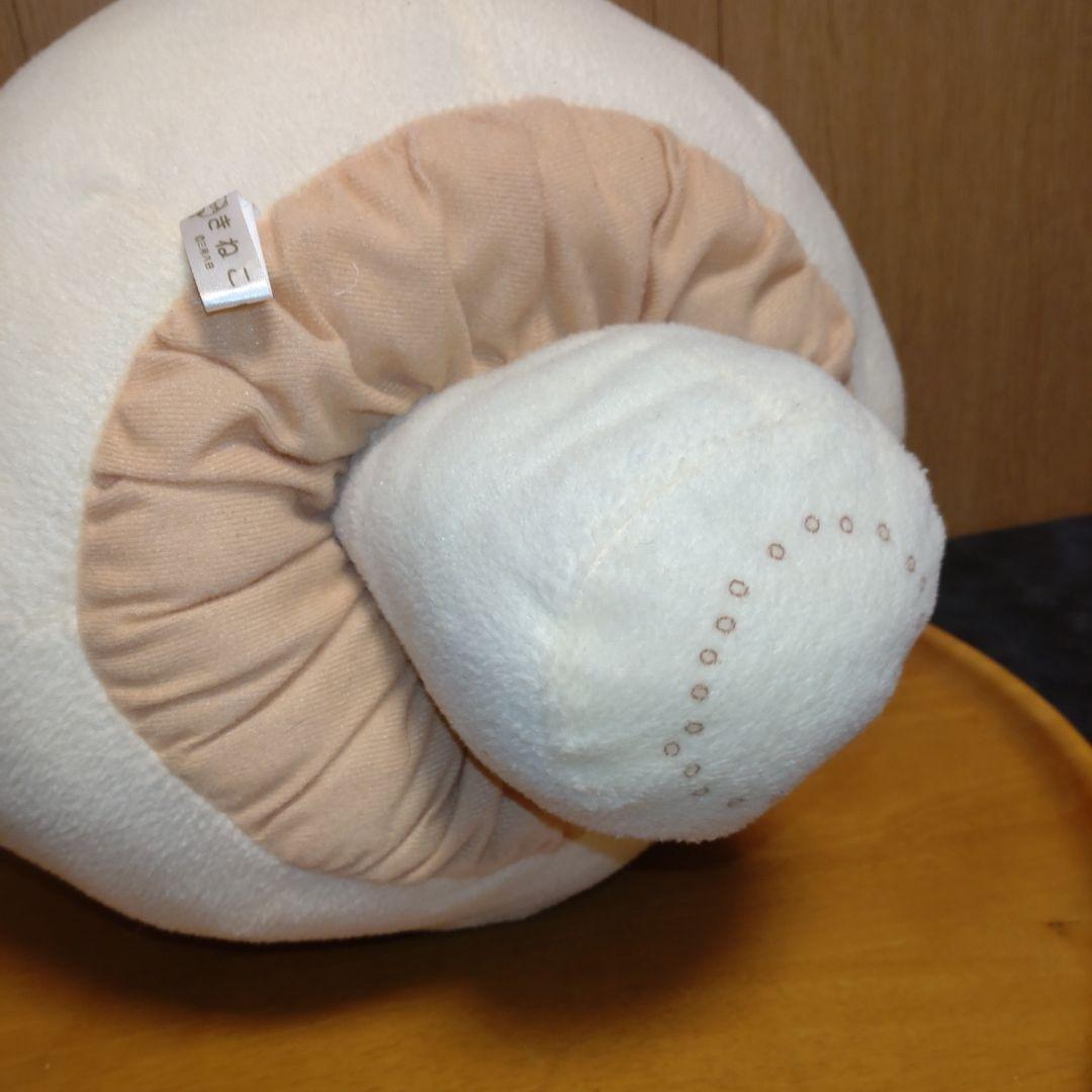 きねこ　三月八日　特大