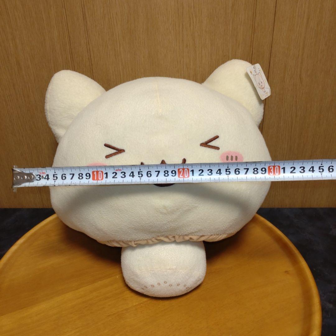 きねこ　三月八日　特大