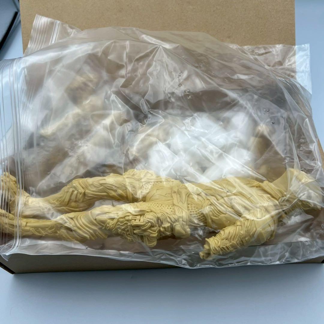 ヘルペインター　1/6　駆虫部隊　仮面ライダー　ガレージキット　検　竹谷隆之