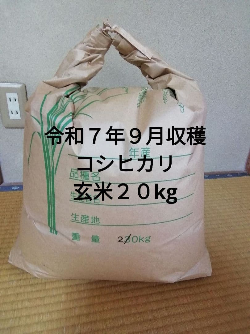 令和７年９月収穫コシヒカリ玄米２０kg
