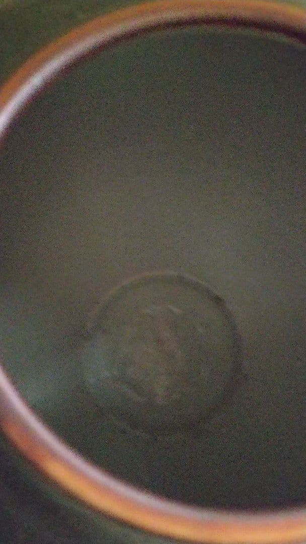 壺  九谷焼  (久谷旭山)