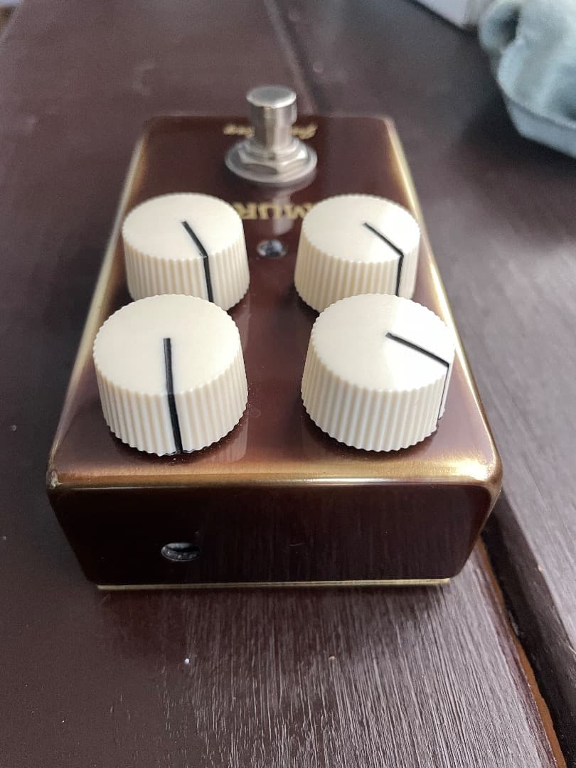 ギター vemuram jan ray