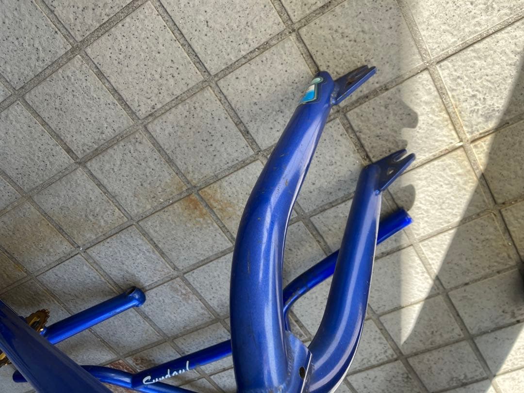 Sunday! GARY YOUNG EX BMX フレームセット 青 20