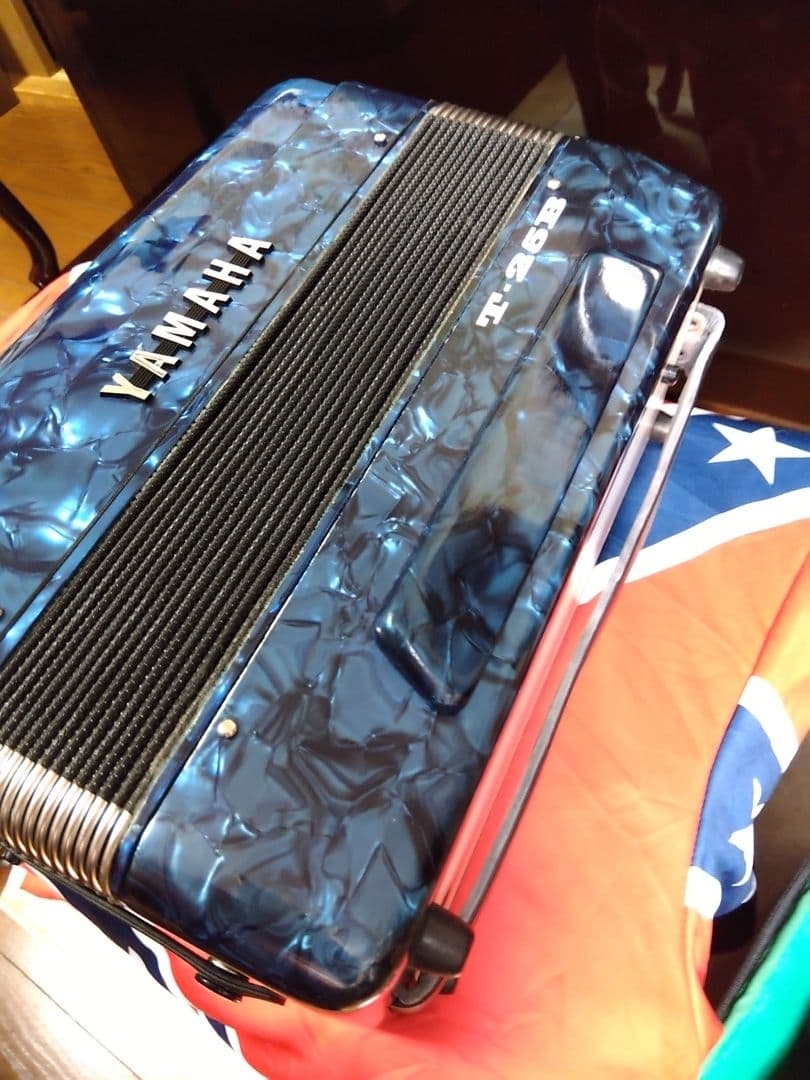 【可愛いレア品音出OK】YAMAHA T25B テナー（中音域）アコーディオン