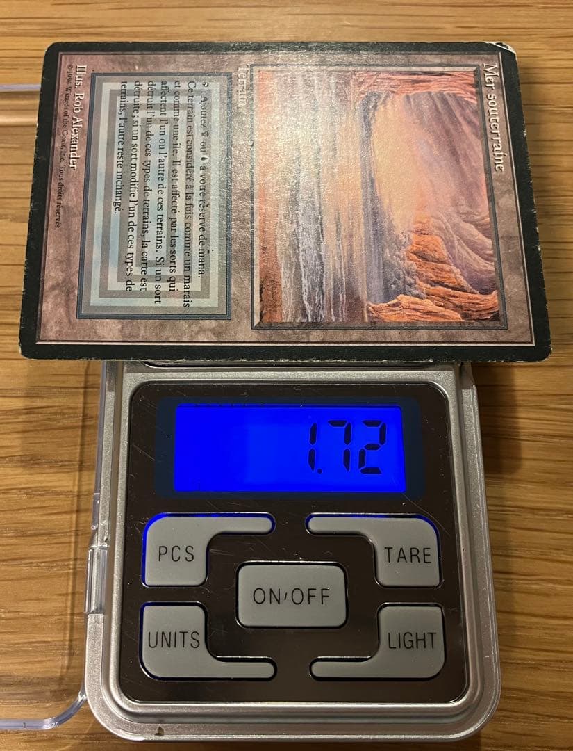 MTG Underground Sea フランス語　黒枠　FBB デュアルランド