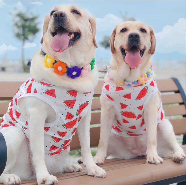 4XLスイカ柄タンクトップ トップスシャツ 夏 犬の服 大型犬 わんこ服ドッグ服