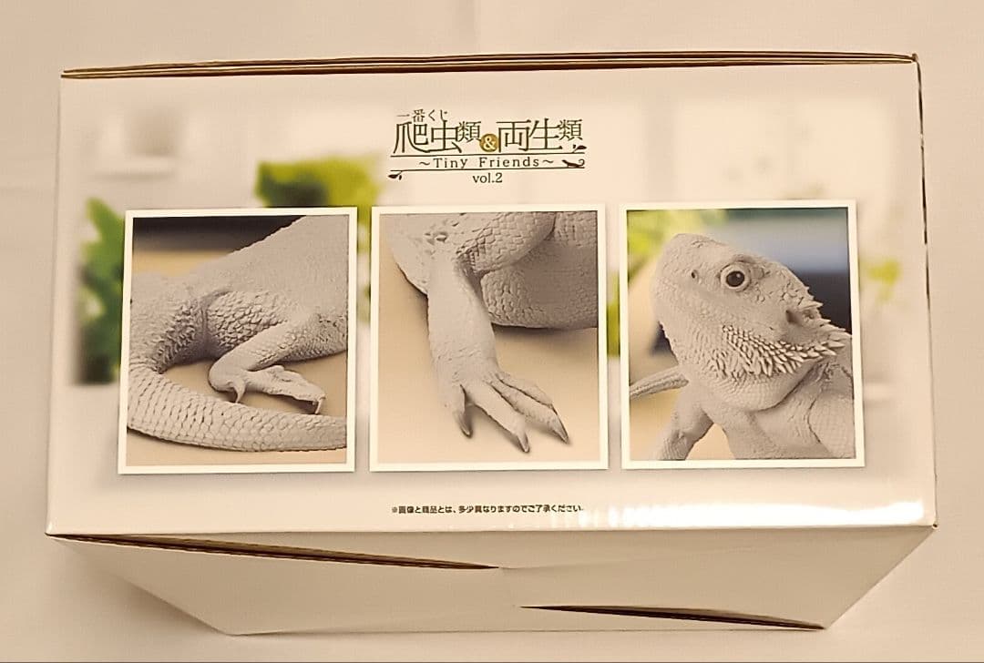 一番くじ爬虫類＆両生類　第2弾　A賞・B賞・C賞・ラストワン　フィギュア 4点