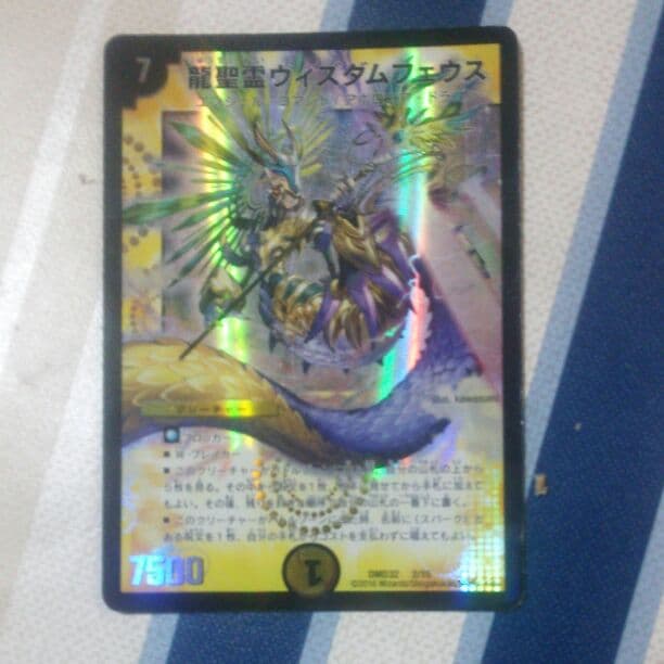 ウィズダムフェウス