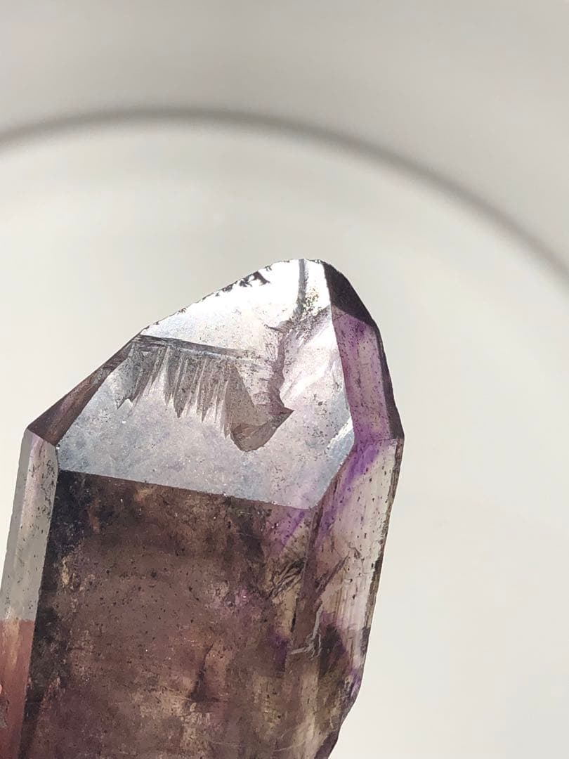 スーパーセブン　水入り　セプター