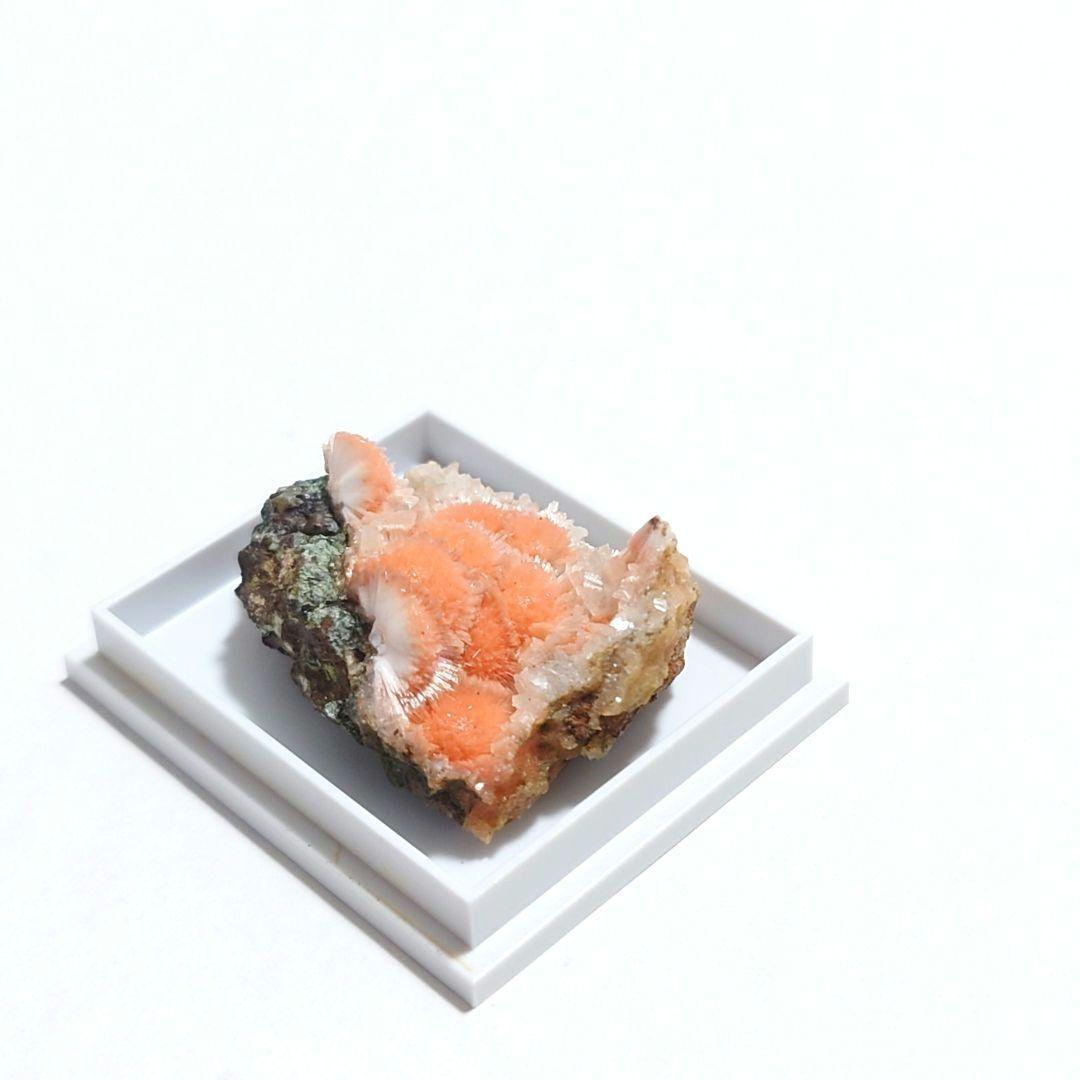 メソライト 2：カダクワニ（インド）