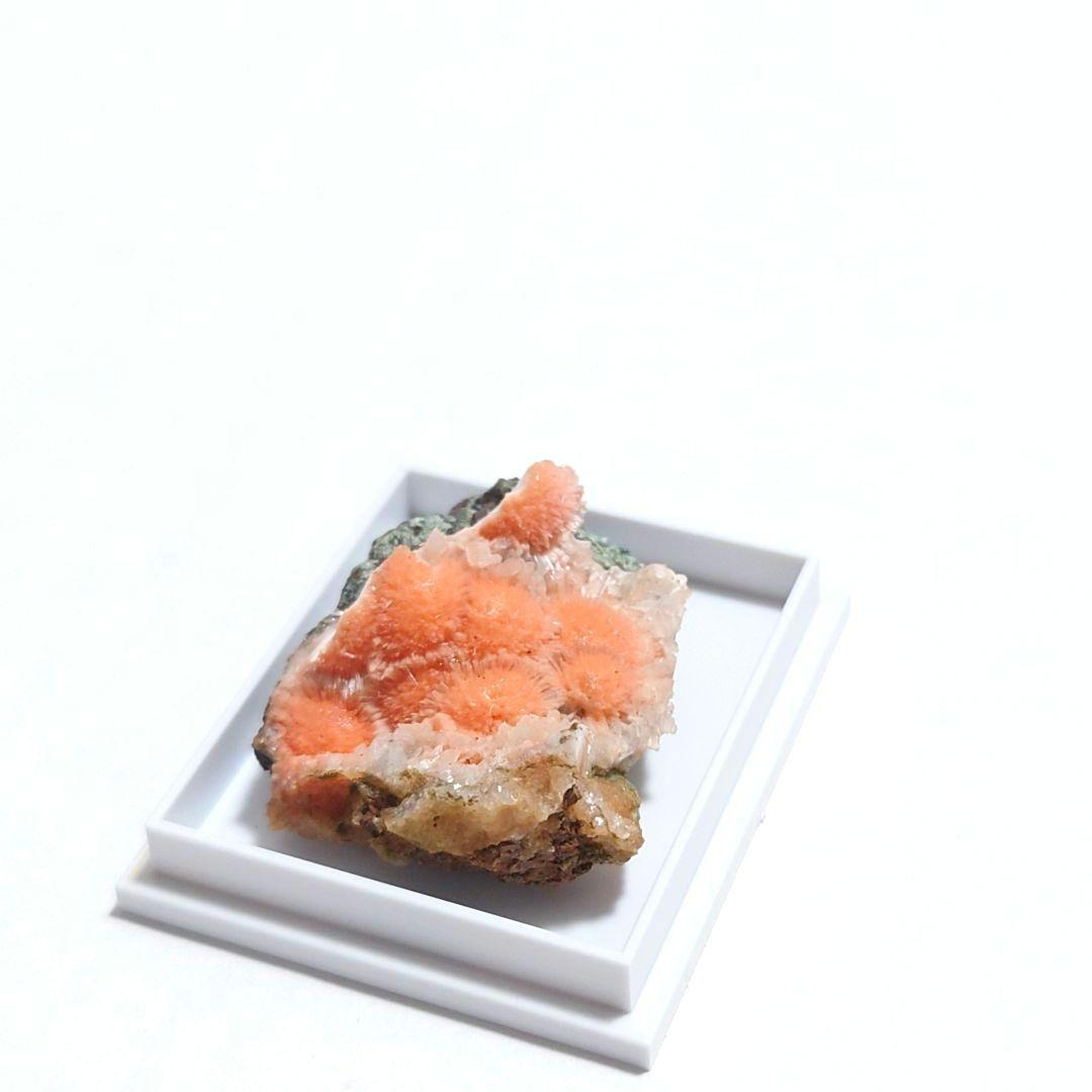 メソライト 2：カダクワニ（インド）