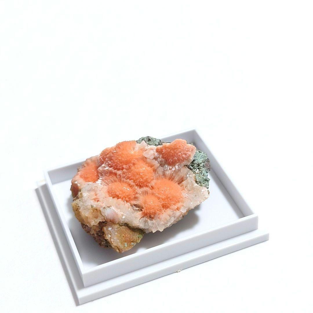 メソライト 2：カダクワニ（インド）