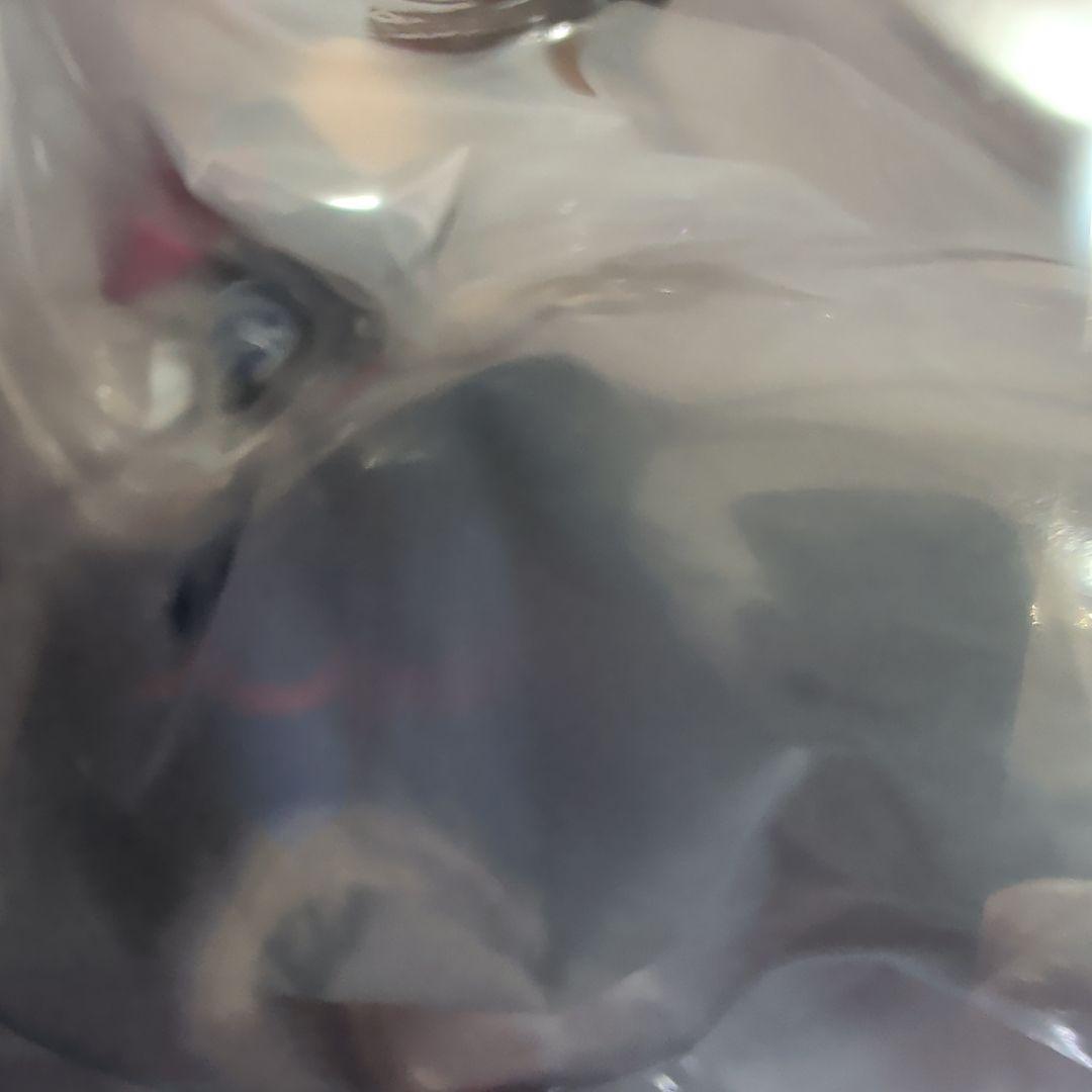 未開封 ライスシャワー フィギュア ウマ娘 プリティーダービー アルター