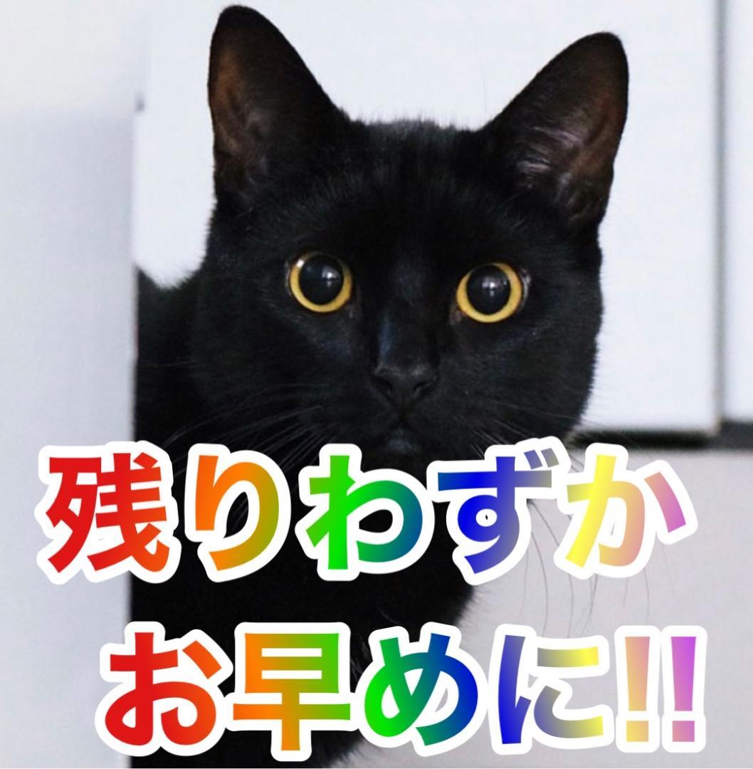 パチスロ実機　Sパチスロゼーガペイン2ＺＺ　不要機ボリューム調整付