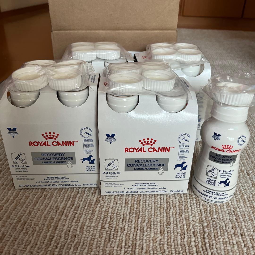  CANIN クリティカルリキッド17本