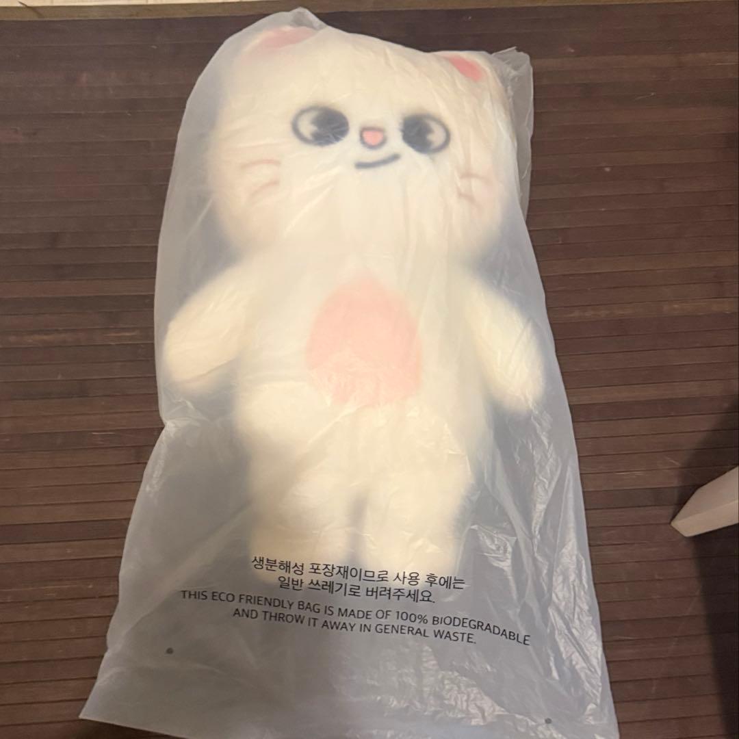 Stray Kids スキズ テディベア ぬいぐるみ SKZOO ジニレット