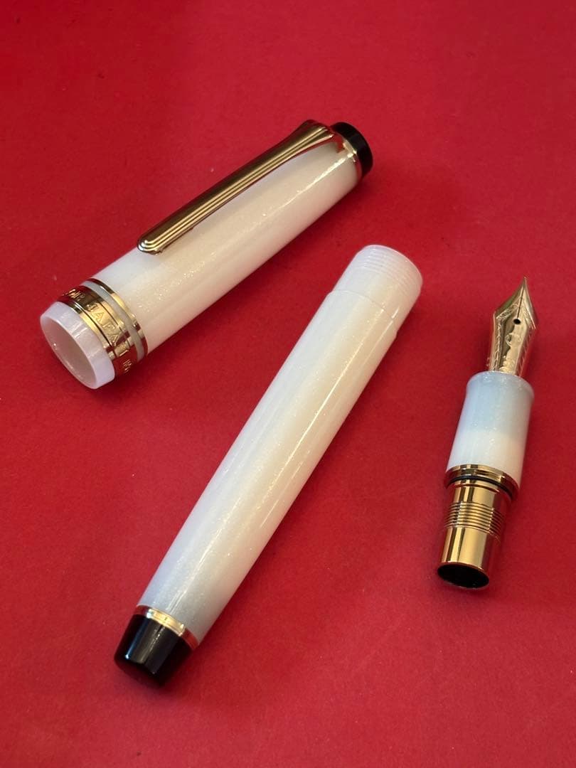 セーラー万年筆SHIKIORI―四季織― 雪月空葉 万年筆 （EF）