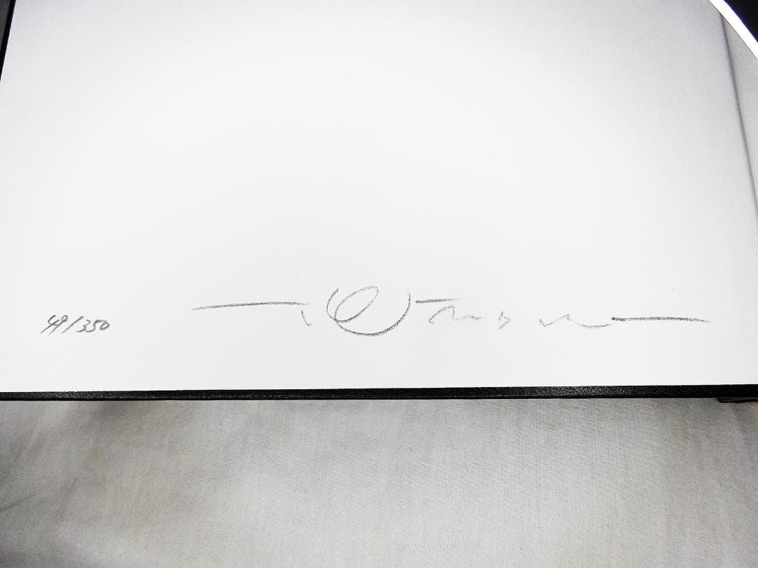 #天野喜孝 #COLLECTED PAINTINGS OF AMANO'S