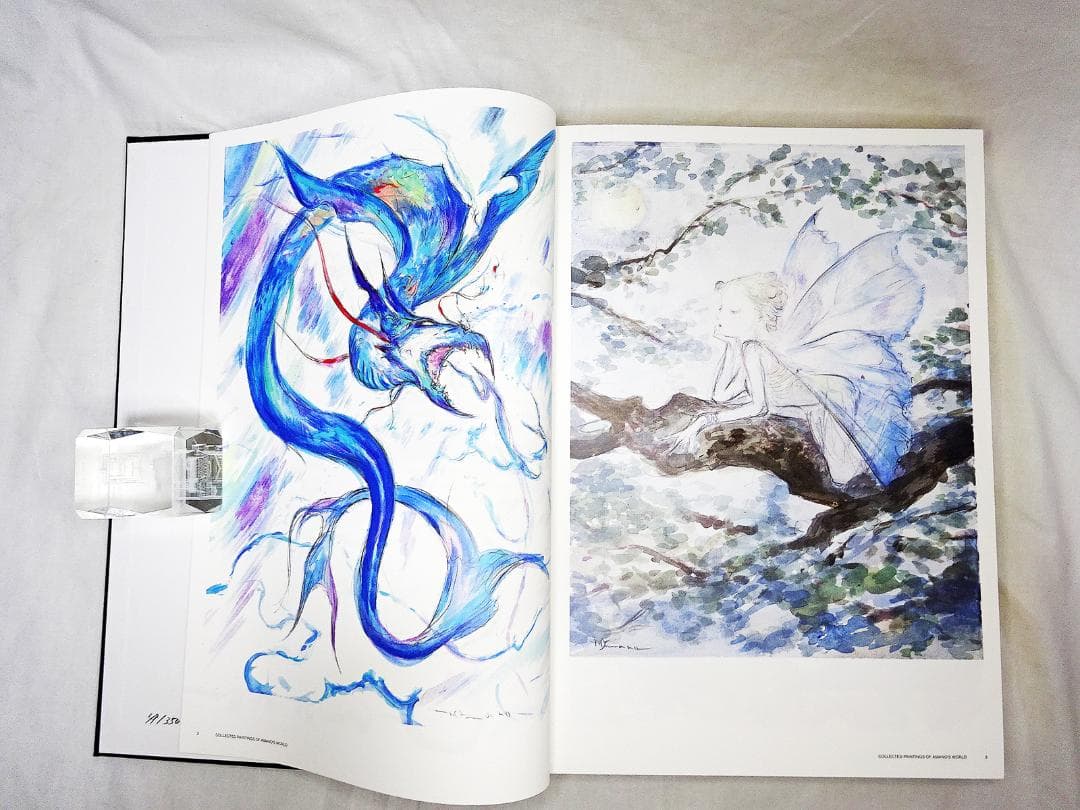 #天野喜孝 #COLLECTED PAINTINGS OF AMANO'S