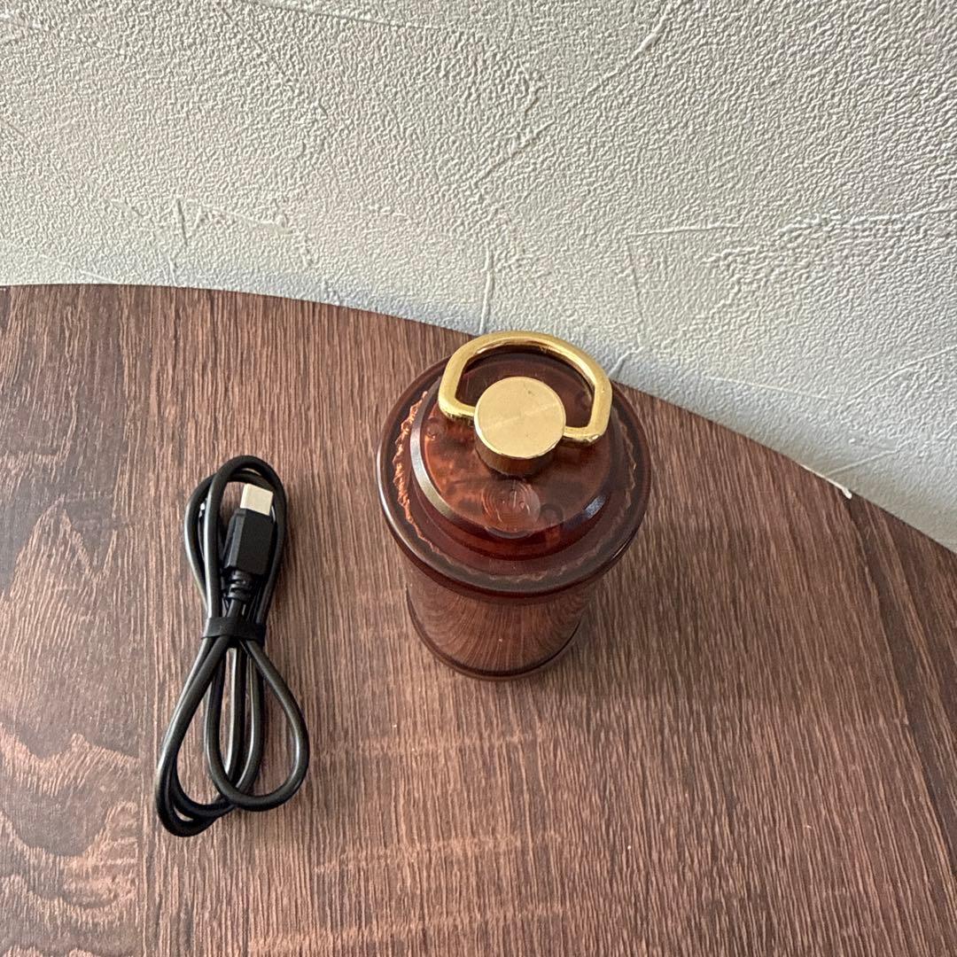 CALMA STORE 38kt Skelton Tortoise 38灯 1個