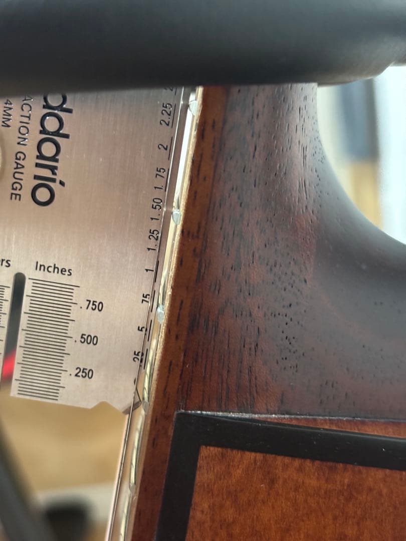 Baton Rouge AR21C/AC アコースティックギター 630mm