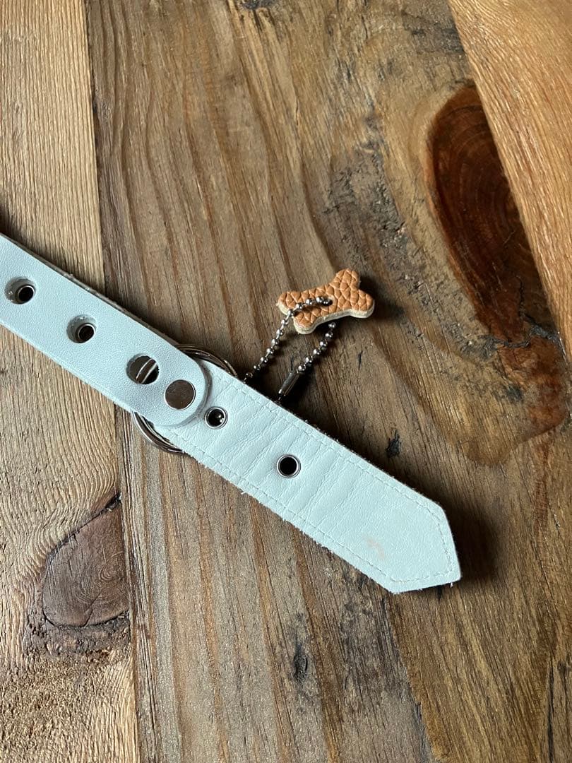 バディベルト5号BUDDY BELTS未使用