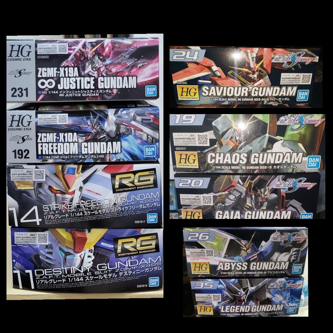 新品未組立HG&RG1/144 SEED DESTINYシリーズ９種セット
