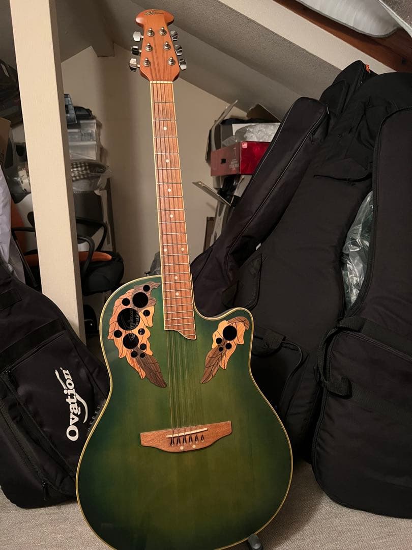 Applause グリーン アコースティックギター