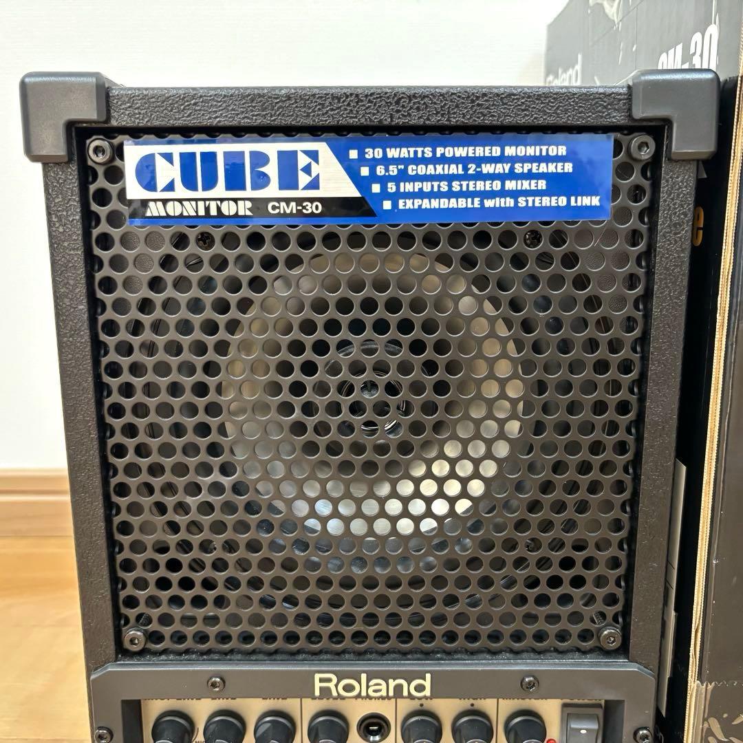 Roland ローランド CUBE CM-30 モニタースピーカー