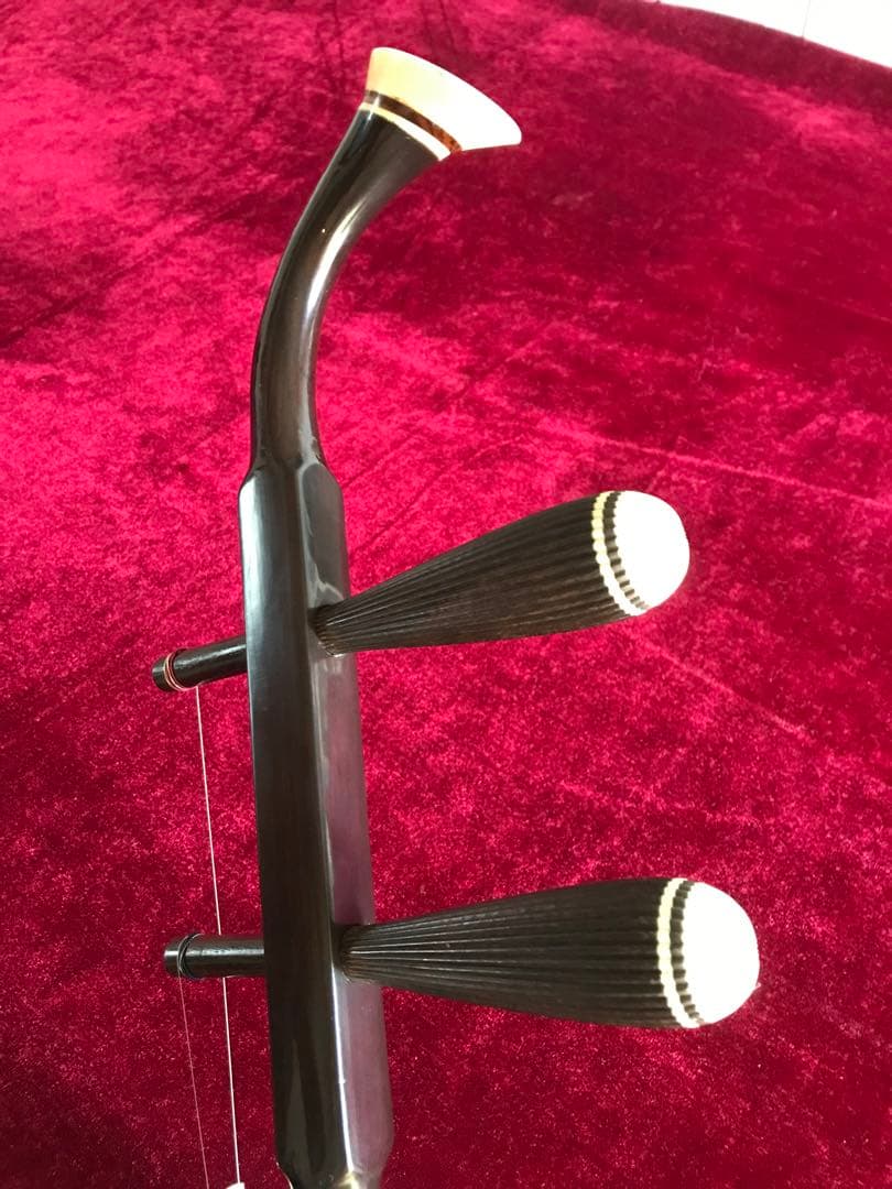 二胡★中古品★蛇本皮★音など確認済み★新品同然