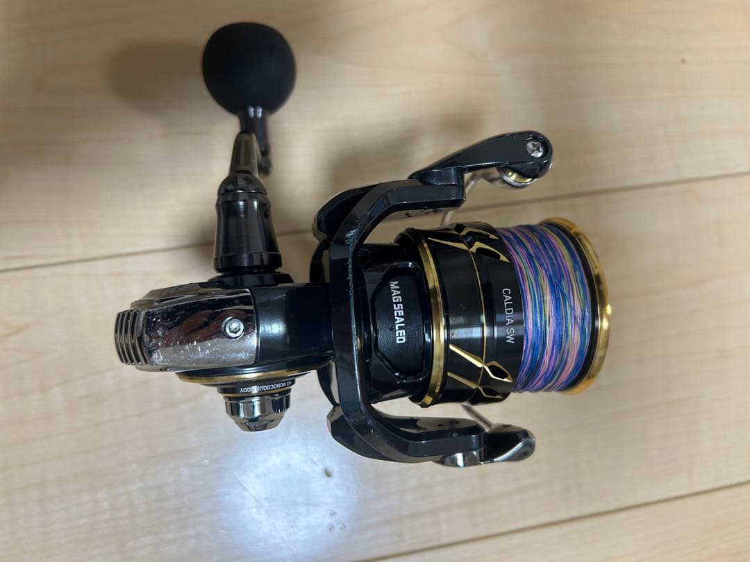 リール DAIWA CALDIA SW 6000D-H