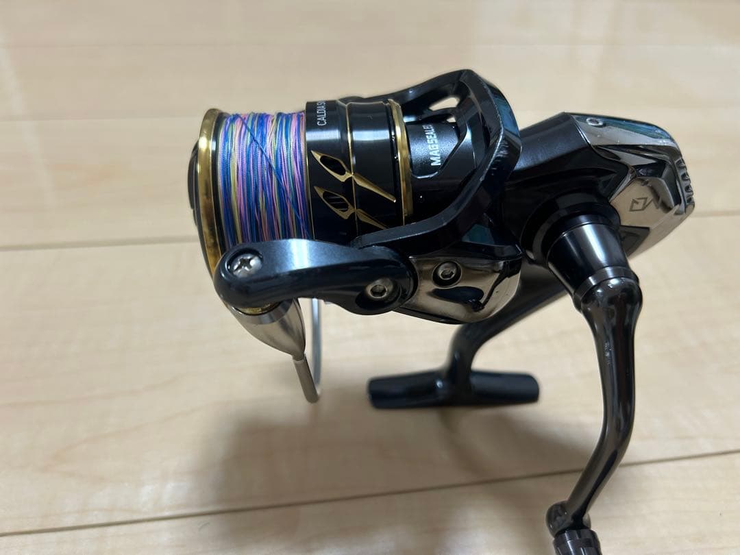 リール DAIWA CALDIA SW 6000D-H