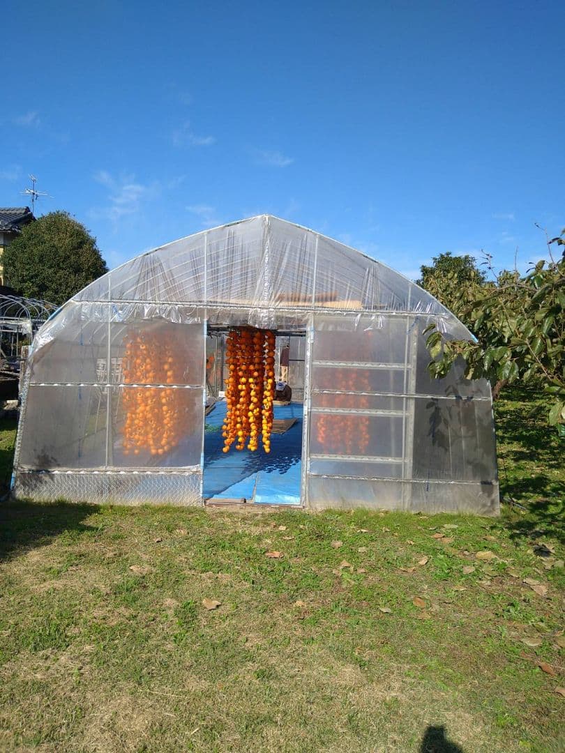 sakura 2種の干し柿セット　4.5キロおまとめ