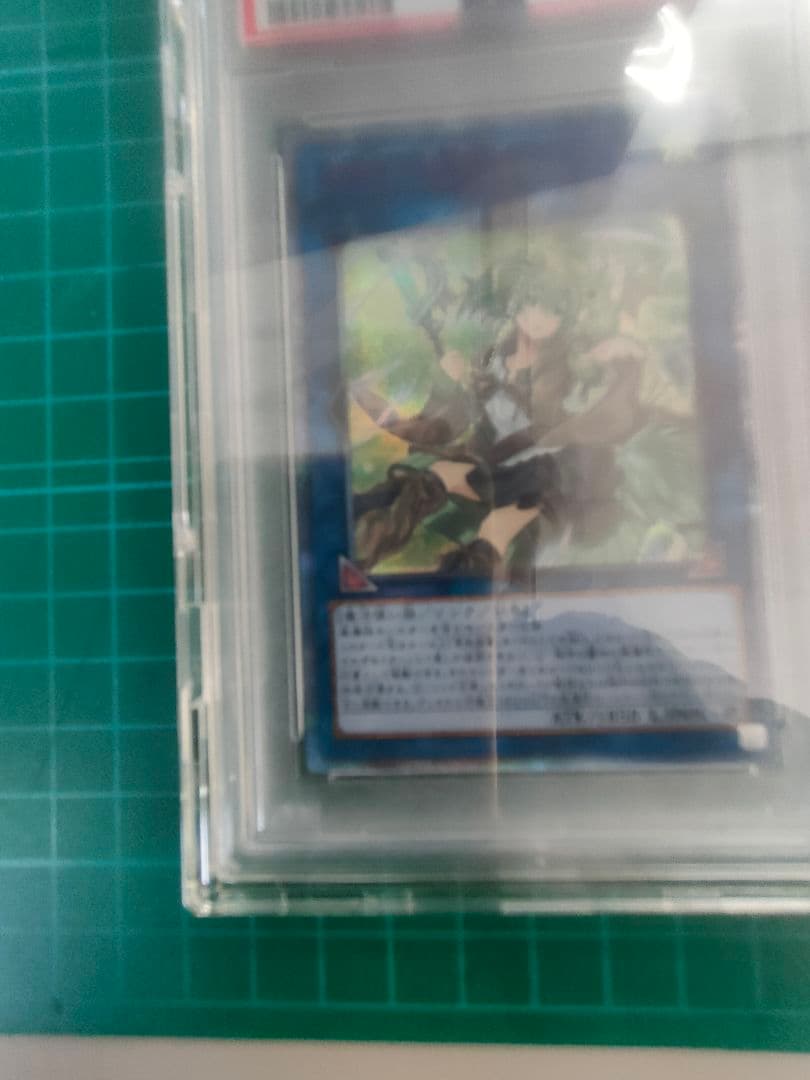 successor様　 蒼翠の風霊使いウィン 20th 4つ目　ランダム５枚付き