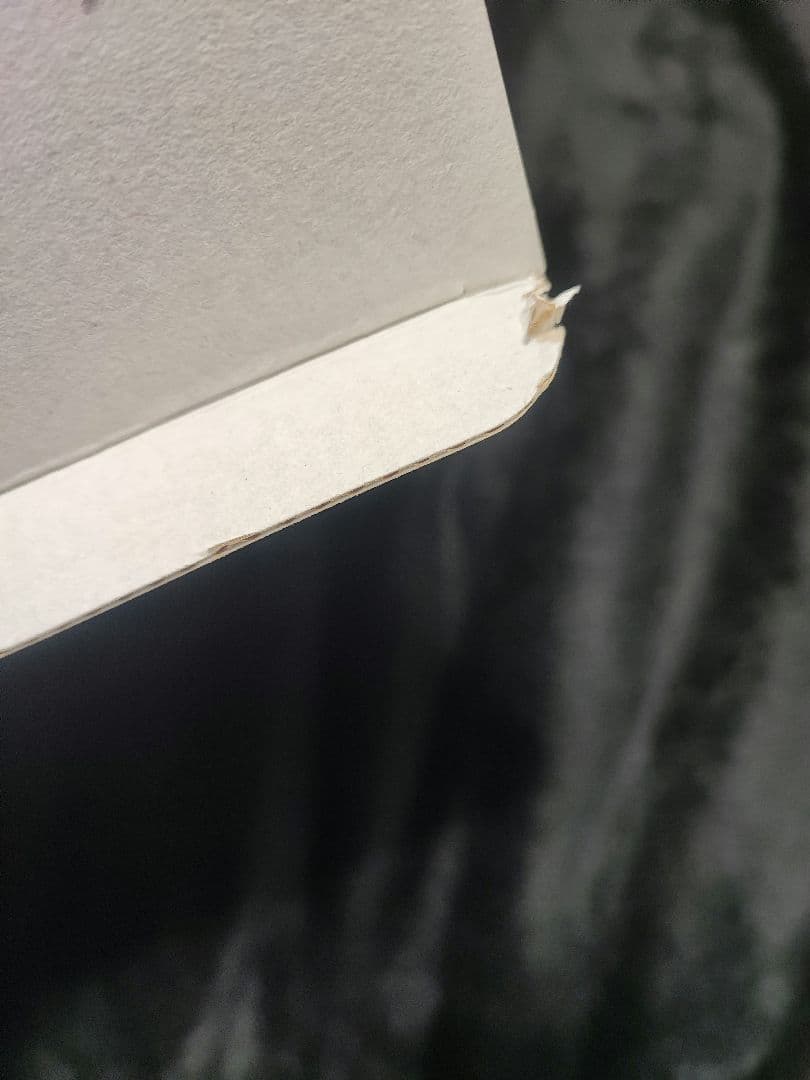 ブルアカ 狐坂ワカモ 1/7 フィギュア ネオンマックス ブルーアーカイブ