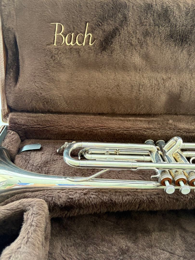 【Hanami】ヤマハトランペットYTR2320ES シルバープレート