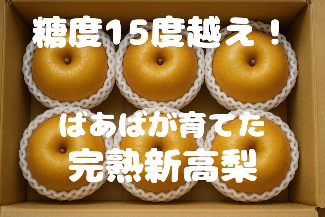 【ペガサスさま　専用】ばあばが育てた完熟新高梨12個＋完熟栗2キロ　セット