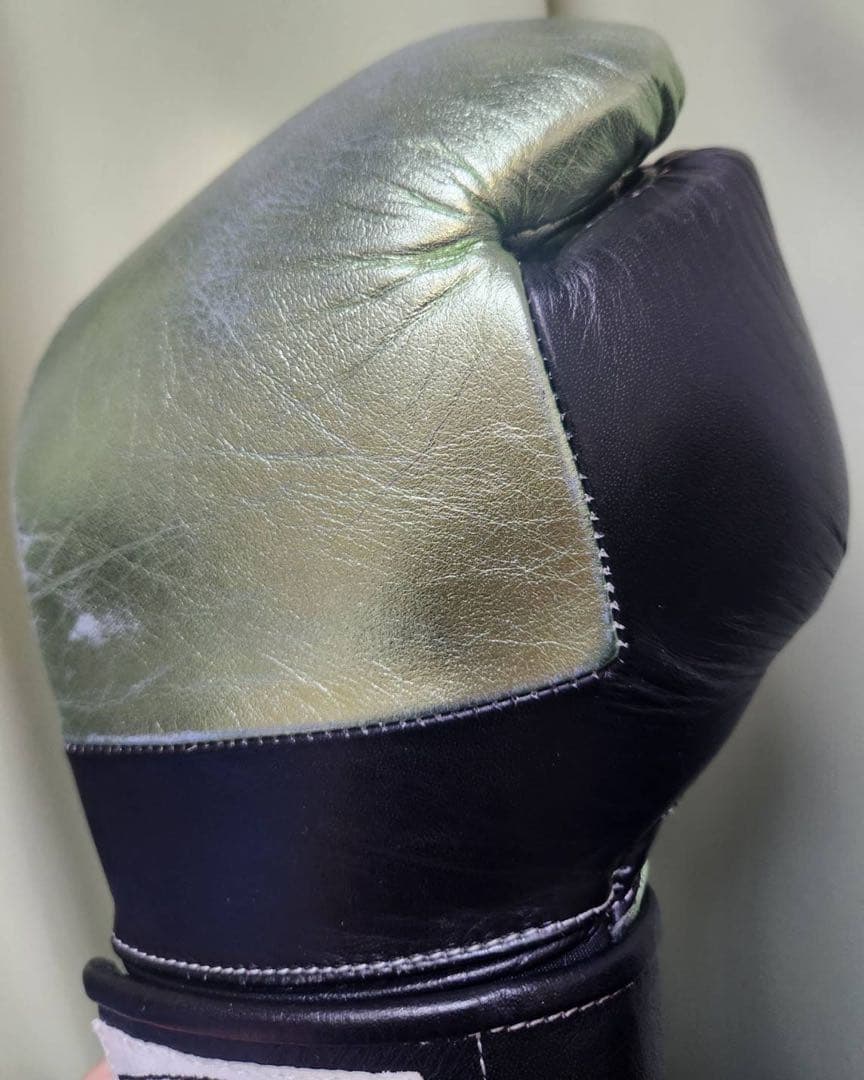 Casanova ボクシンググローブ 10oz